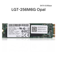 M.2 SATA SSD 256G With Two Notches